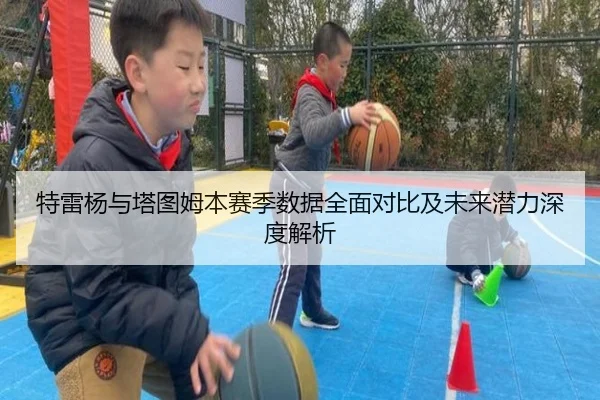特雷杨与塔图姆本赛季数据全面对比及未来潜力深度解析
